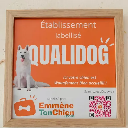Jim Et Otta, Dogfriendly, 3 Etoiles Tourisme, 200m De La Foret Mont-de-Marsan